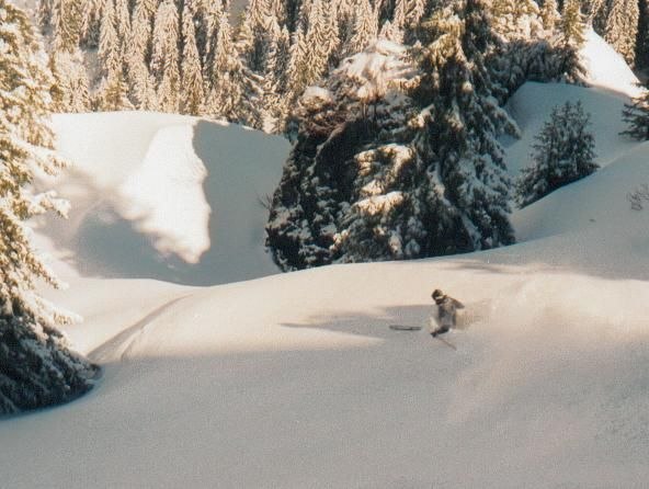 Underbar skogsskidåkning med stora stenar att lä. Foto: Dagge. Åkare: Dala.