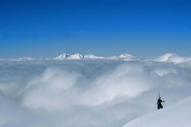 Foto: Pelle Holm. Åkare: David Treiberg.