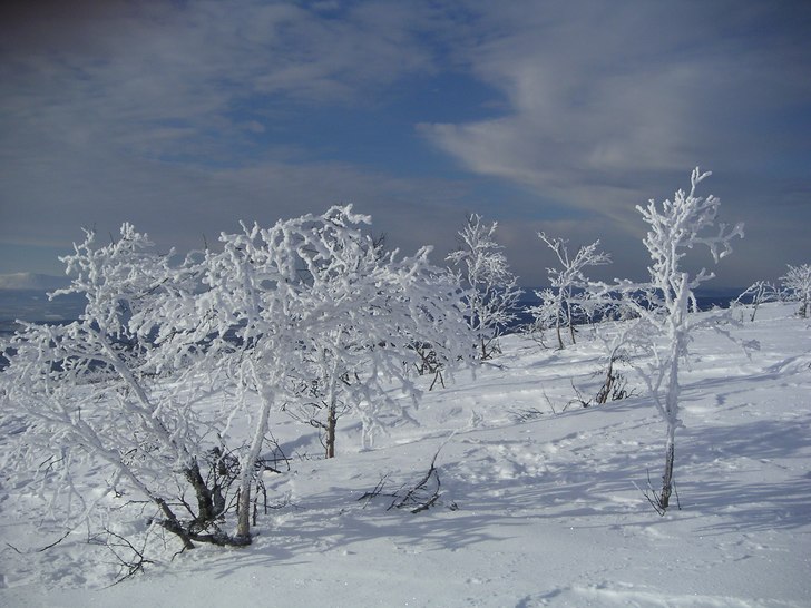 Foto: Andrea Elmelid.