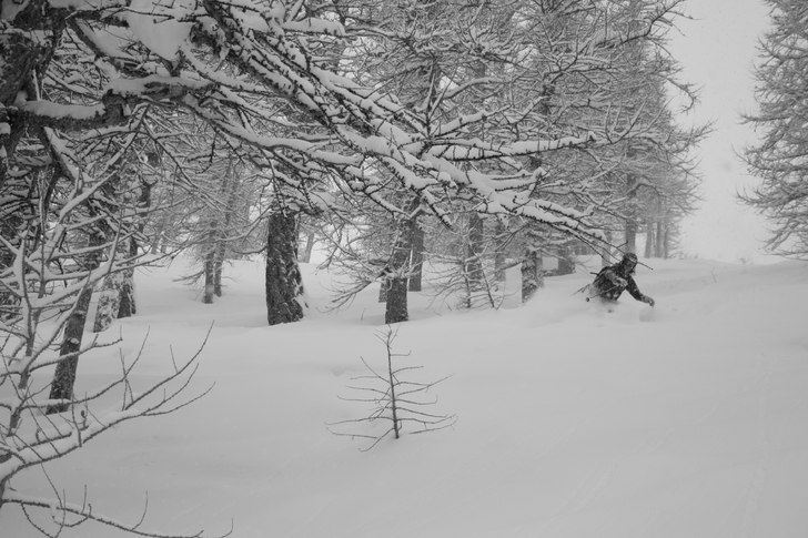 Foto: Andreas Lindroth. Åkare: Jessica Nordlander.
