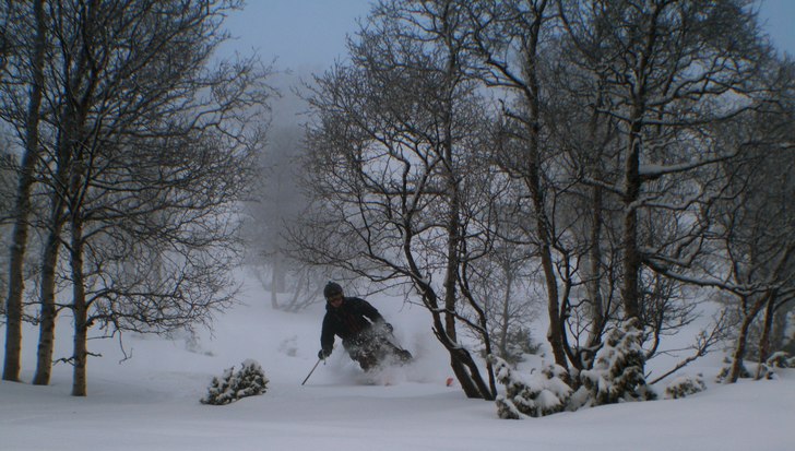Rörliga bilder: http://www.freeride.se/video/oppd. Foto: Gustav Holmer. Åkare: Tomas Almbo.