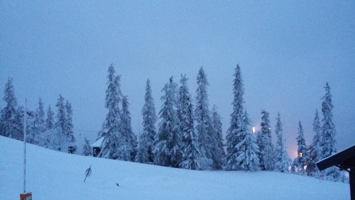 Det snør!
Endelig har det kommet litt snø! Flott.