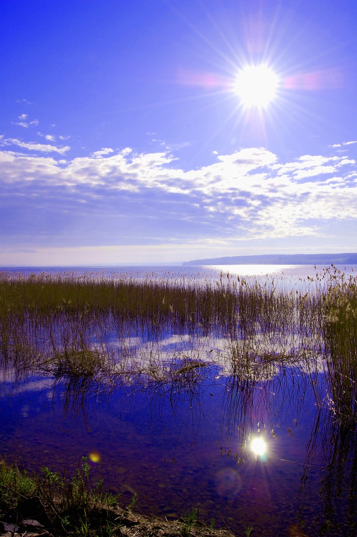 Tidig morgon vid Mälaren. Foto: Robin Eriksson.