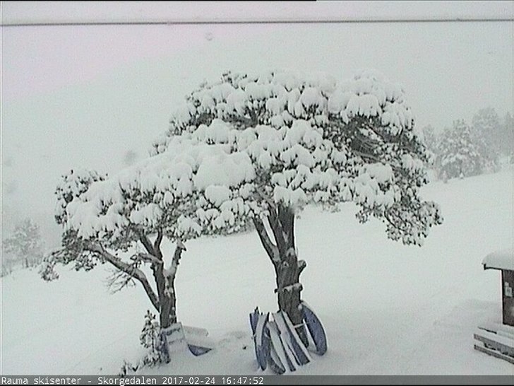 Full fart i anlegget i morra 25 febr
Det har nå l.