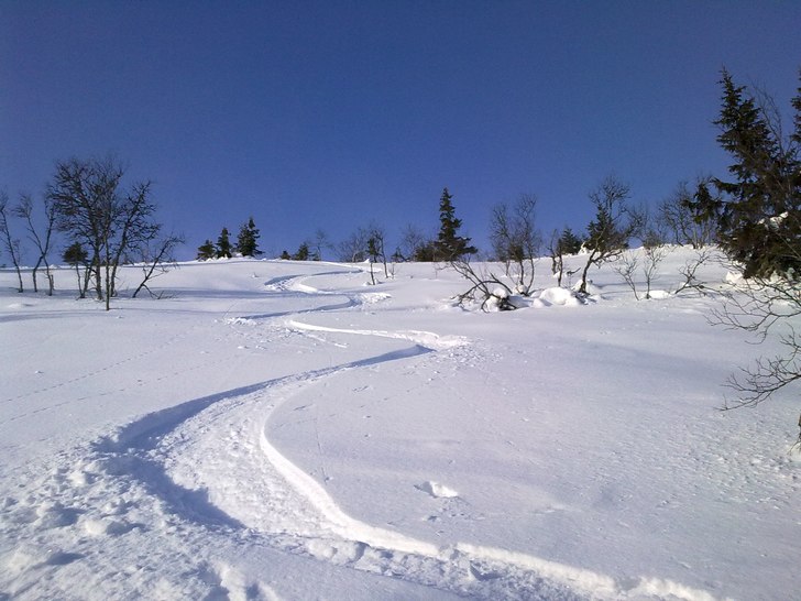 Foto: Mountain Man. Åkare: Mountain Man.