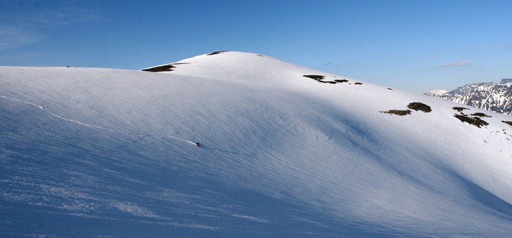 Foto: Anders Molander. Åkare: Johan Ekvall.