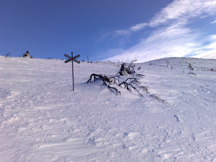 Foto: Fredrik Åkerblom.