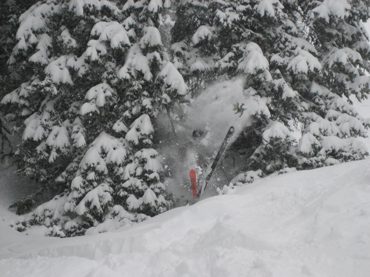 Åker genom granglugga. Foto: Marcus Wallstersson. Åkare: Robin Sandberg.