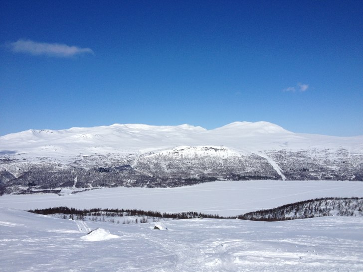Rakt fram!. Foto: Gustav Corin.