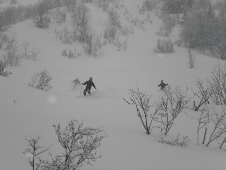 Gött puder i Bad Gastein säsong 07/08.. Foto: Rickard Zanden. Åkare: Pelle Bävman.