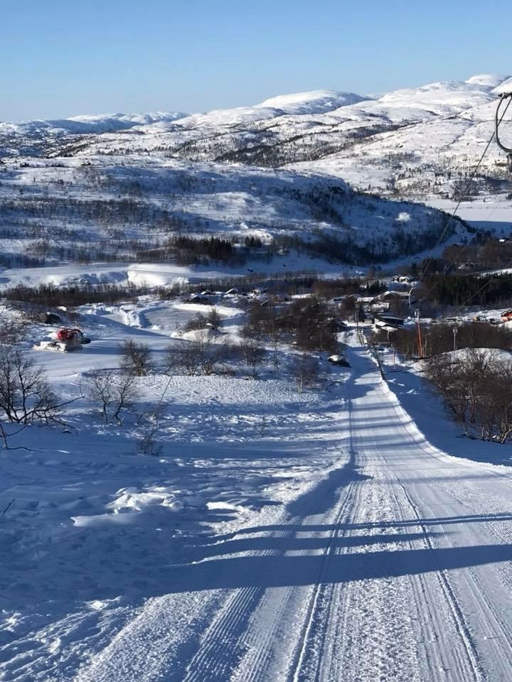 Lørdag
I dag har vi strålende sol fra skyfri him.