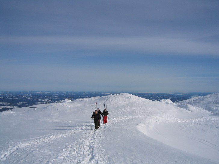 Foto: Johan Sköld.