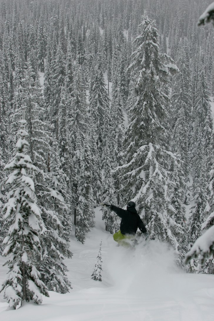 Åkare: Ulf Sjöholm.