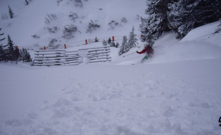 Skön skogsåkning i snöfallet!. Foto: Anders Schelander. Åkare: Robert Hortlund.