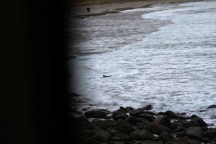 Foto: Christine Hargin.