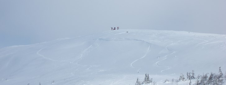 Foto: Trond Bråthen. Åkare: Idar Skauby, Are Skauby, Marius Krogh, Morten Huse.