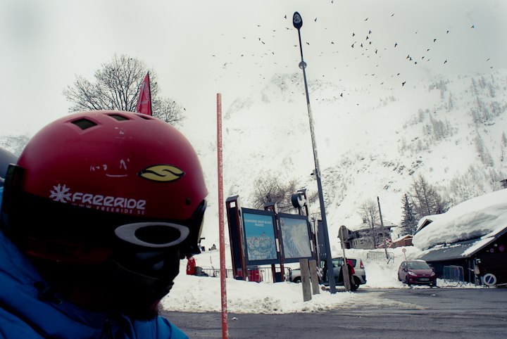 Consider the birds. Foto: Albin Oskarsson. Åkare: Oskar.