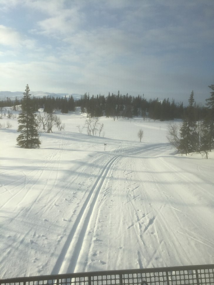 Påske ????????????????????
????????????  SOL -SN�.