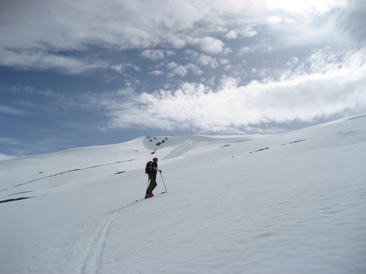 Foto: håkan friman. Åkare: tomas gustavsson.