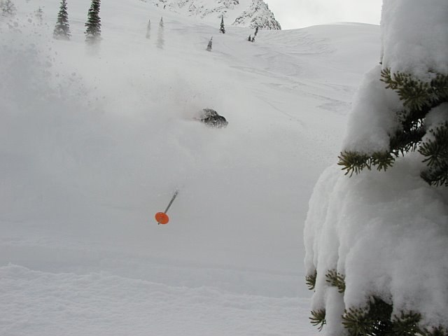 AI COMO ME GUSTA EL POLVO!!!!!!. Foto: howie. Åkare: DIEGUITO.