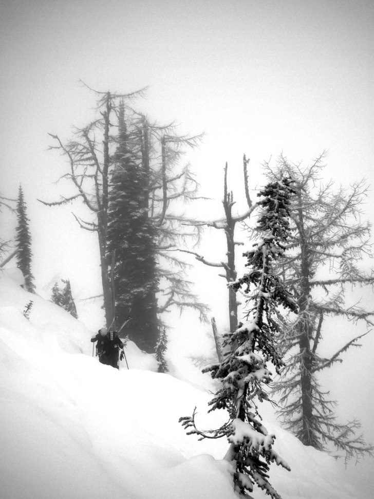 Foto: mårten ågren.