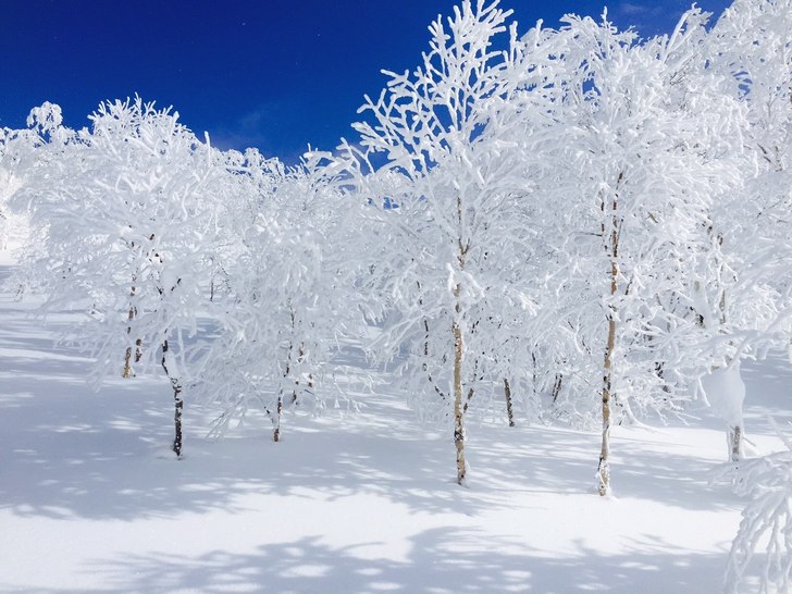 Foto: Andreas Ericson.