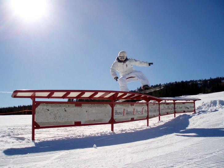 Foto: Mange werner. Åkare: Linus Krohn.