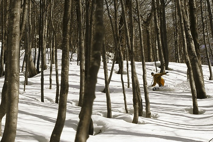 Foto: pp. Åkare: niklas hollsten.