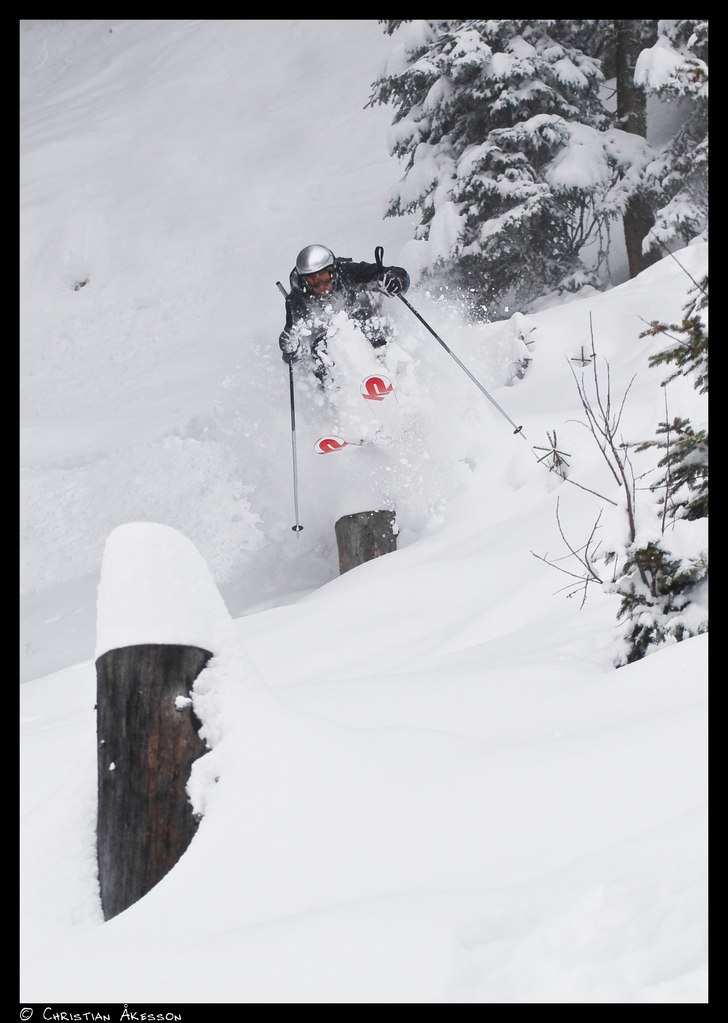 Peter studsar ner över stubbarna i den fridlysta . Foto: Christian Åkesson. Åkare: Peter Andersson.