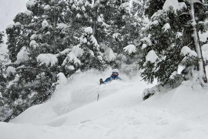 Foto: Rikard Landrin. Foto: Rikard Landrin.