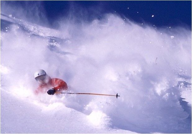 Foto: Rikard Andersson. Åkare: Trent Scarlett.