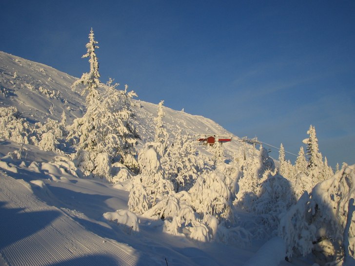 En härlig vy i Trysil fjällen!. Foto: Malin Svedjetun.