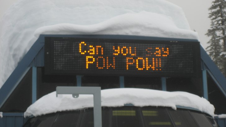 Foto: Sara Schützer.