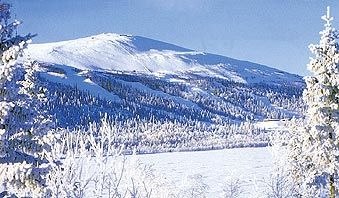 ett jäkligt fin skid/bräd ställe. Foto: ?.