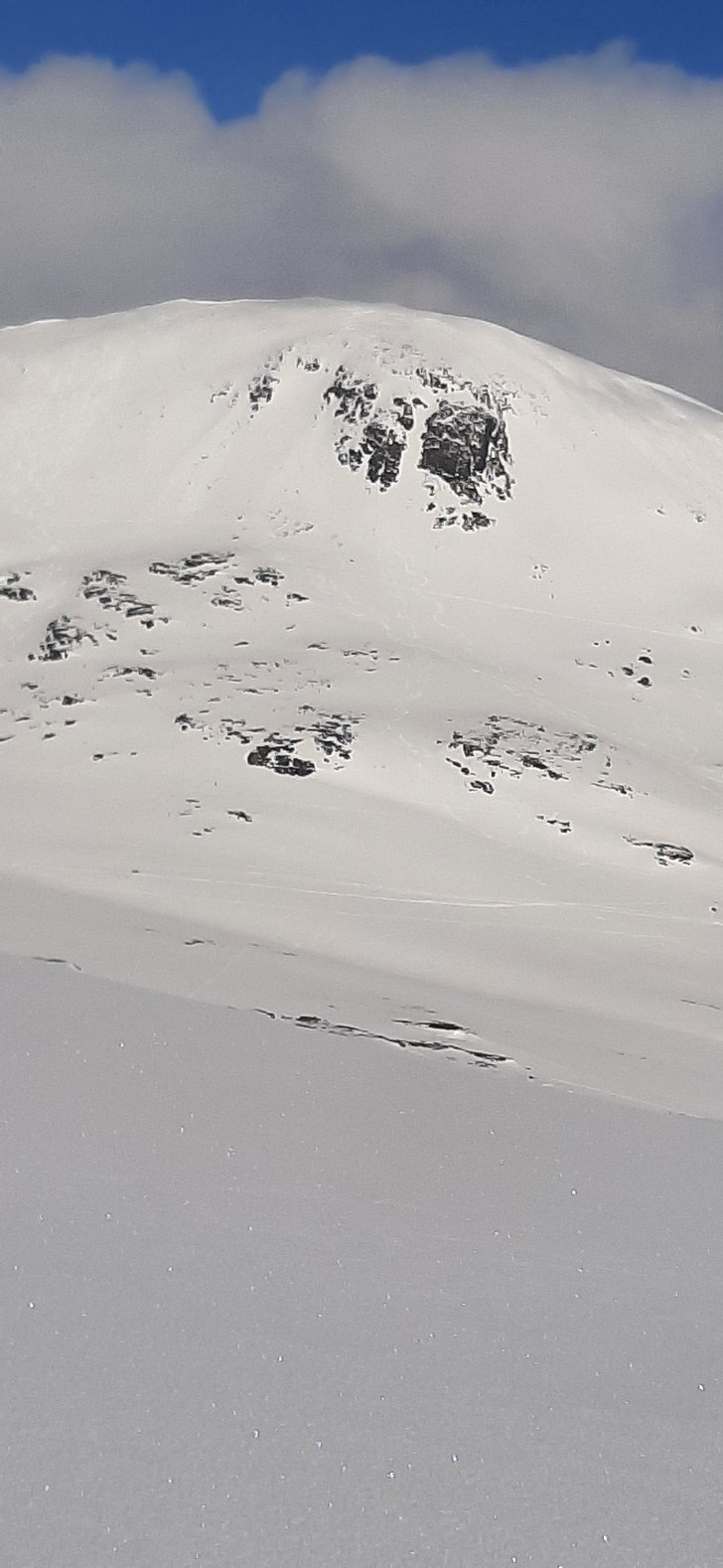 Lillsnasen sent i maj..