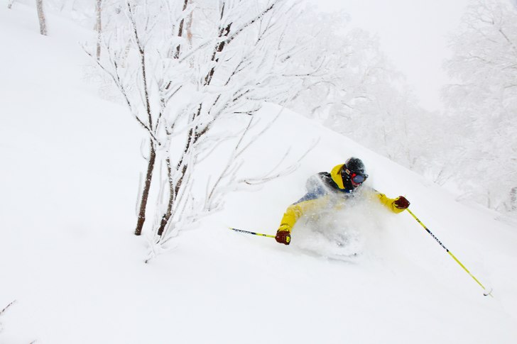 Dennis Rajden Foto - Japan Powder Incredibles Amaz.