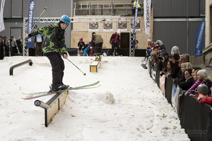 Winter Show i Kungsträdgården 2014.. Foto: Hedda Berander.