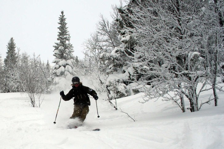 Foto: Andreas Junggren. Åkare: Micke Bratt.