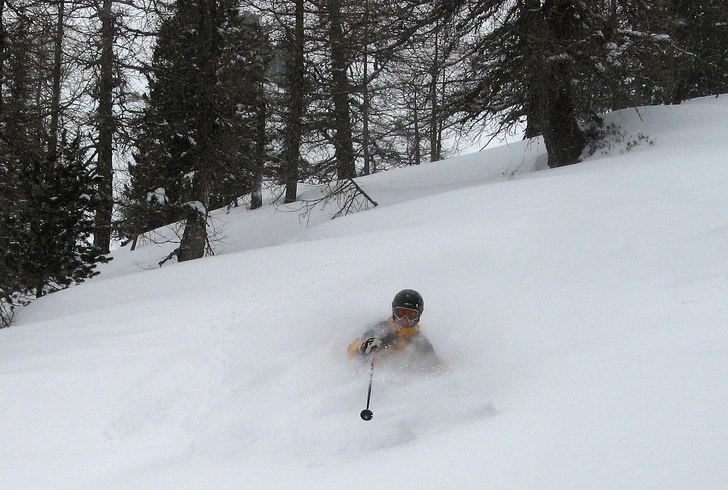 Djupt nr 3 i lärkskogen. Foto: Sture Ågren. Åkare: Peter Karlsson.