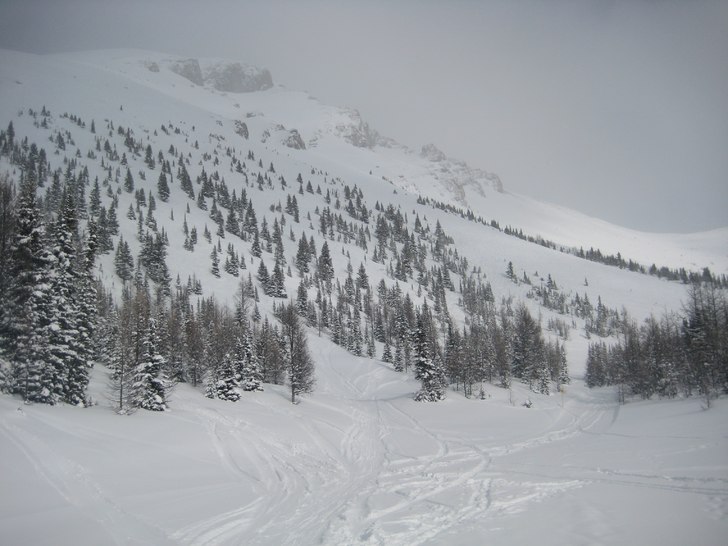 Gles granskog 40 cm lössnö.. Foto: John Skogsbacke.