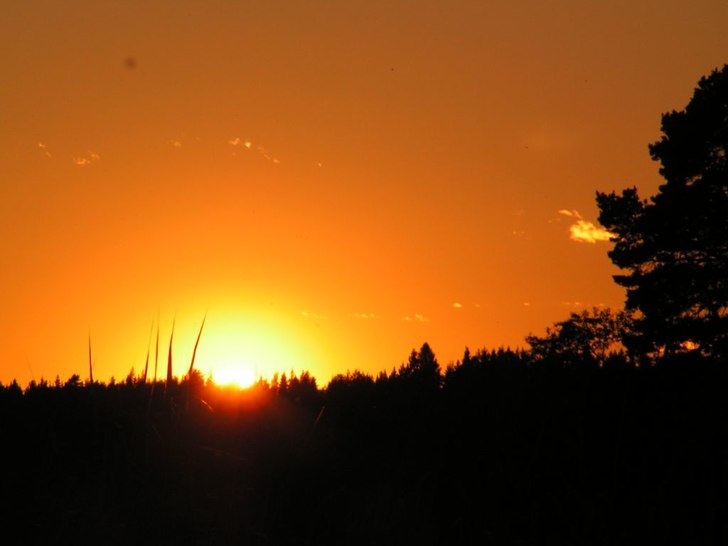 Svensk sommar är inte så tokig ändå!. Foto: Stintan.