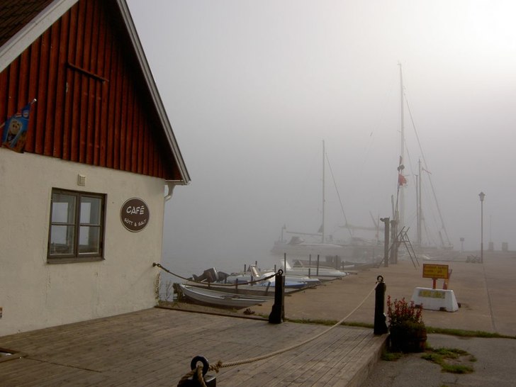 En tidig sommarmorgon, mer lik höst. Foto: Maja Hallén.