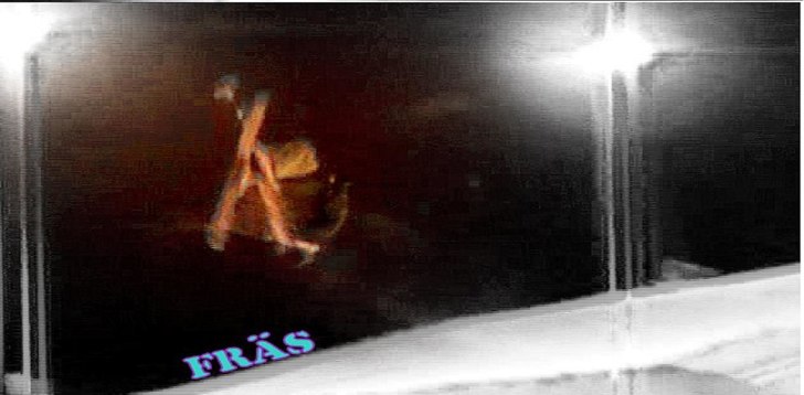 cross backflip. Foto: Daniel Ferm. Åkare: Markus Danzer.