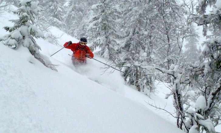 Foto: Mountain Girl. Åkare: Mountain Man.