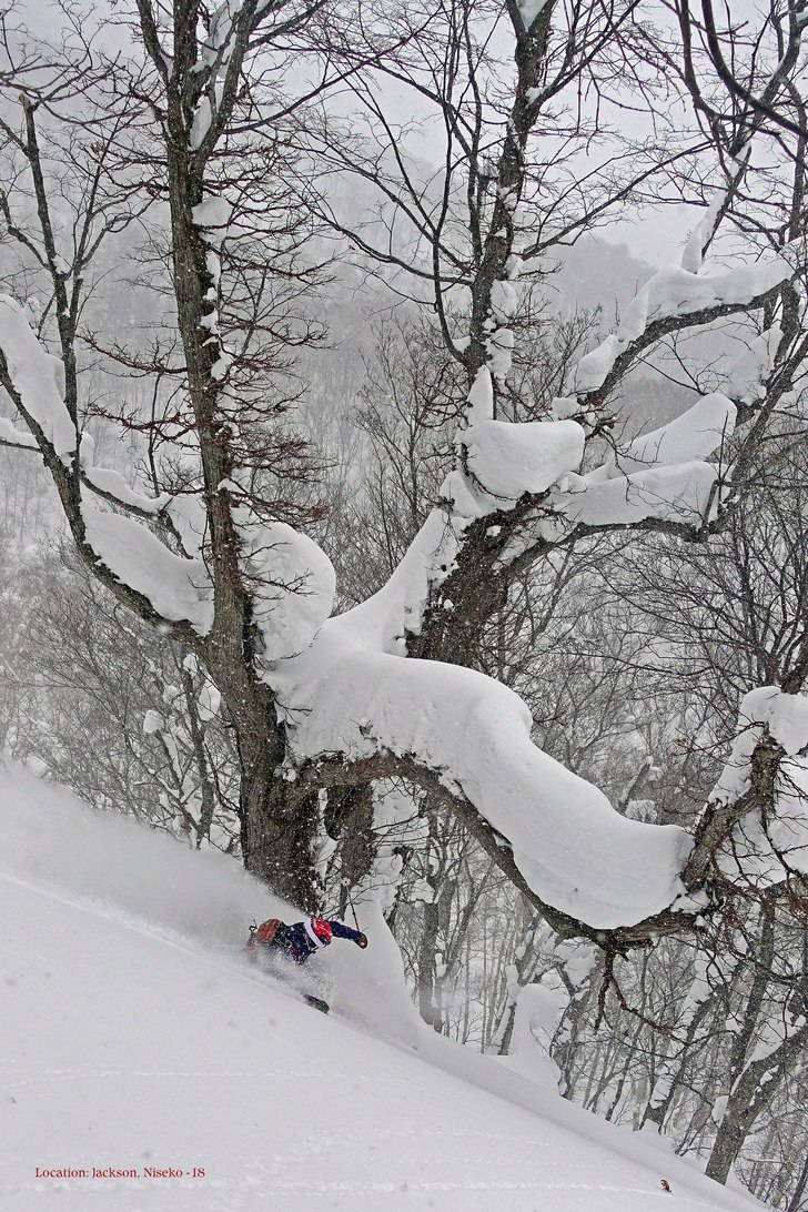 Deep in Jackson! Japan -18.