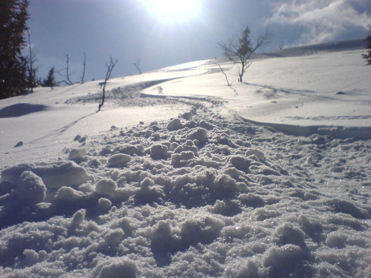 Foto: Martin Brandel. Åkare: Martin Brandel.