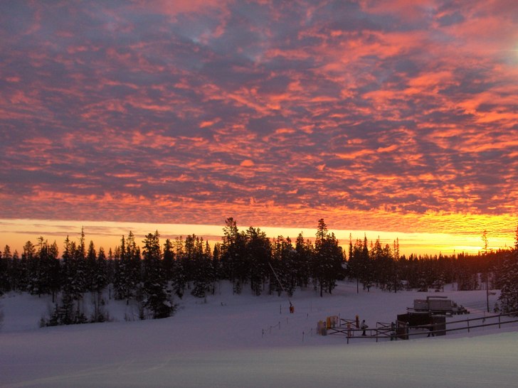 En morgon i Lindvallen.. Foto: Therése Kjellgren.
