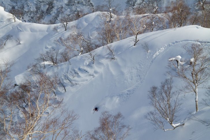 Foto: Mark Virgin. Åkare: Kirstine Brørup Nielsen.