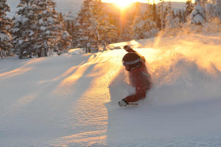 Foto: Peter Modigh. Åkare: Oscar Modigh.