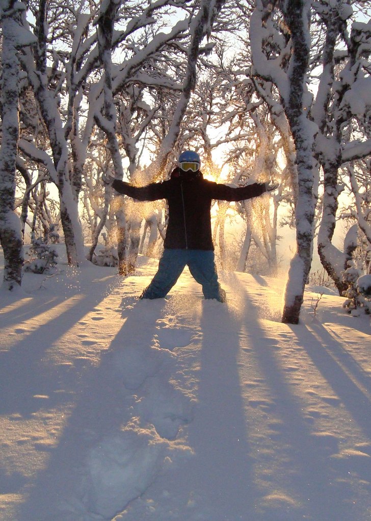 Foto: Johan Olsson. Åkare: Hanna Skogsberg.